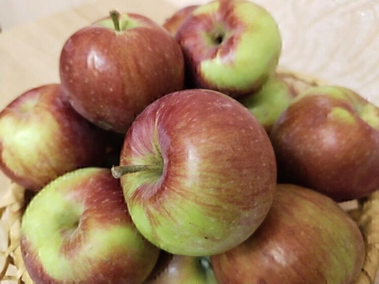 В Губкине на выходных пройдут две ярмарки