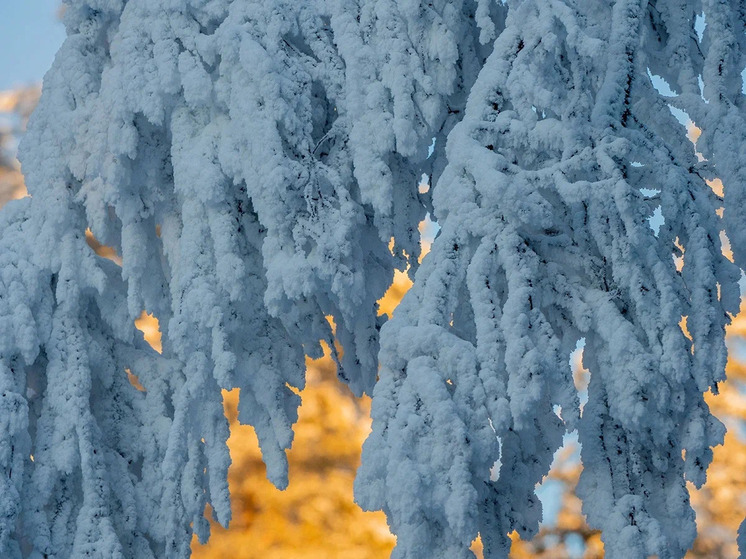 Количество гостей карельской столицы двукратно увеличилось