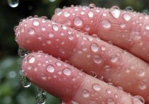  

 

Мы ежедневно чему-то удивляемся