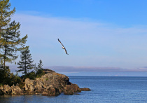 Госдума во вторник приняла сразу во втором и финальном третьем чтении нашумевшие поправки в закон о Байкале