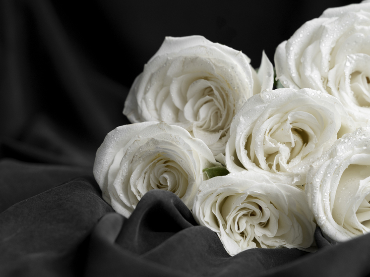 В День Героев Отечества курской школе №45 присвоили имя Героя Советского Союза Василия Крюкова