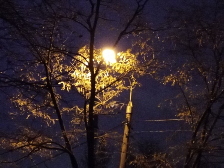 Дорогу для школьного автобуса в Пачелме осветят после решения суда