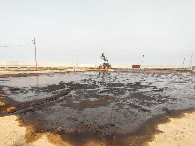 Нефтяная компания обязана возместить Калмыкии нанесенный почвам вред