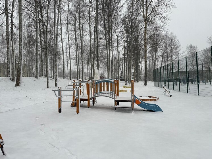 В парке Удега в районе Птицефабрика появилась новая общественная локация