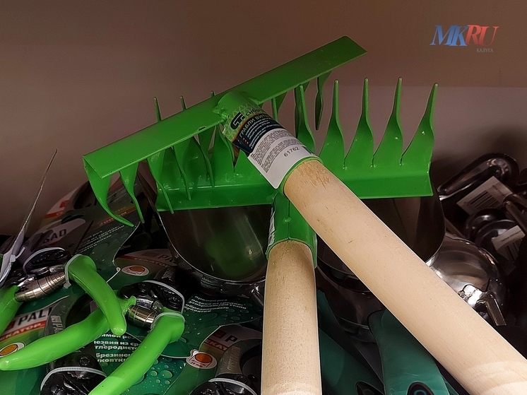 В Калужской области нашли две тысячи тонн нелегальных семян