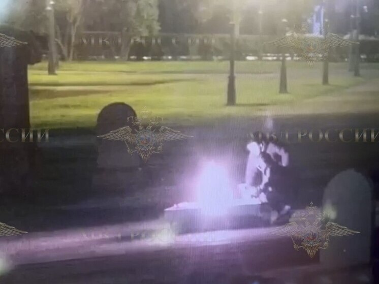 Мужчина ответит в суде за тушение Вечного огня на Марсовом поле