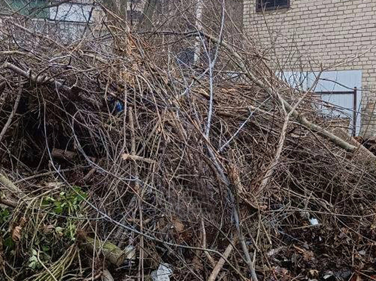 Липчане возмущены мусорной свалкой на Кузьминской