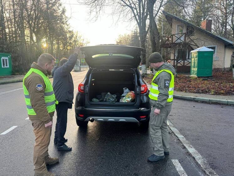 На выезде из калининградских заповедных зон будут проверять машины