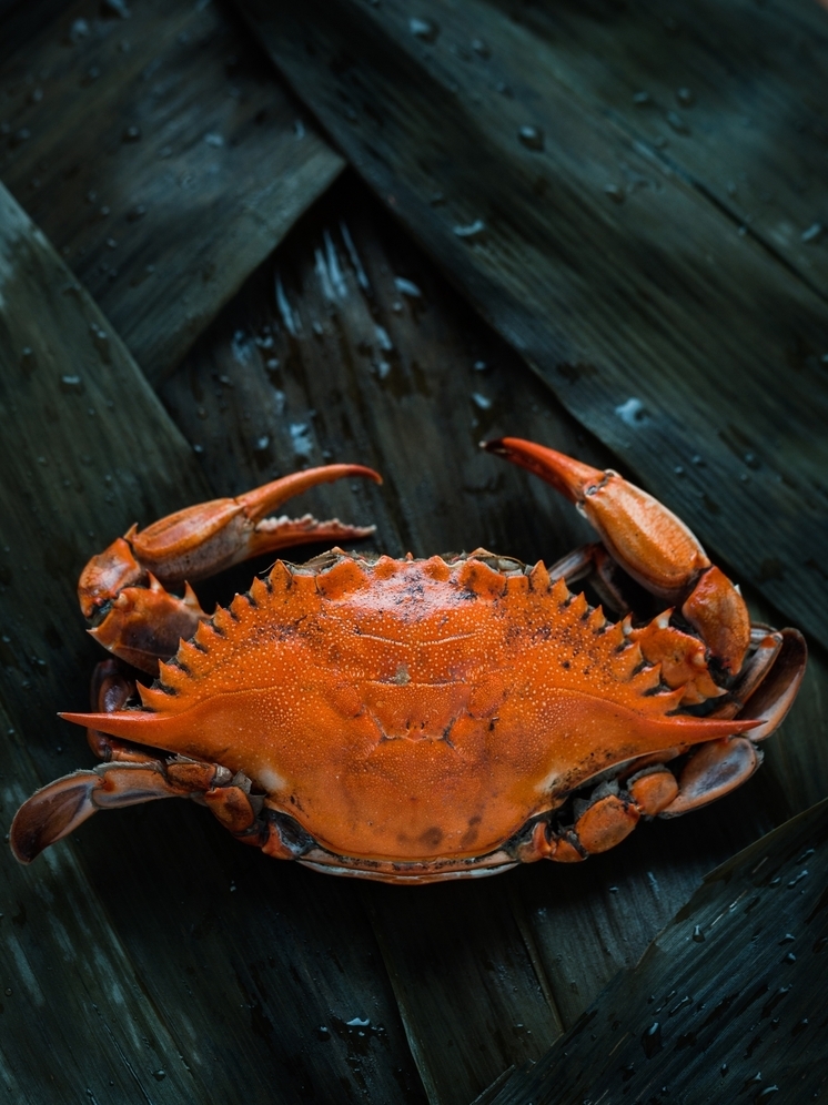 Магаданского рыбака осудили за незаконный вылов краба на 200 тысяч рублей