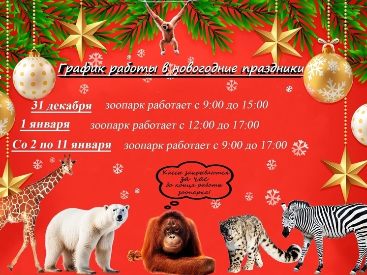 График работы зоопарка «Лимпопо» в Нижнем изменится