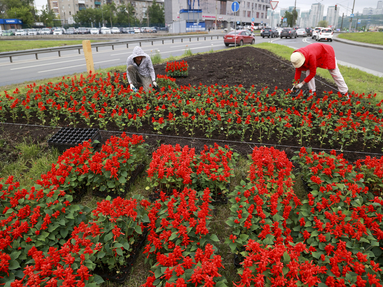 Изменения в правила благоустройства Нижнего не поддержали