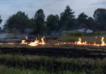В 2025 году на территории Московской области не было зафиксировано ни одного возгорания на торфяниках