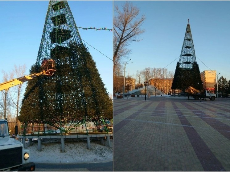 Абаканцам показали, как собирают главную елку города