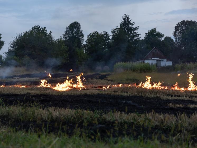 В 2025 году на территории Московской области не было зафиксировано ни одного возгорания на торфяниках