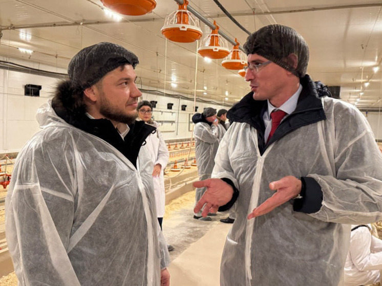 17 тыс. тонн мяса птицы будут дополнительно производить в регионе