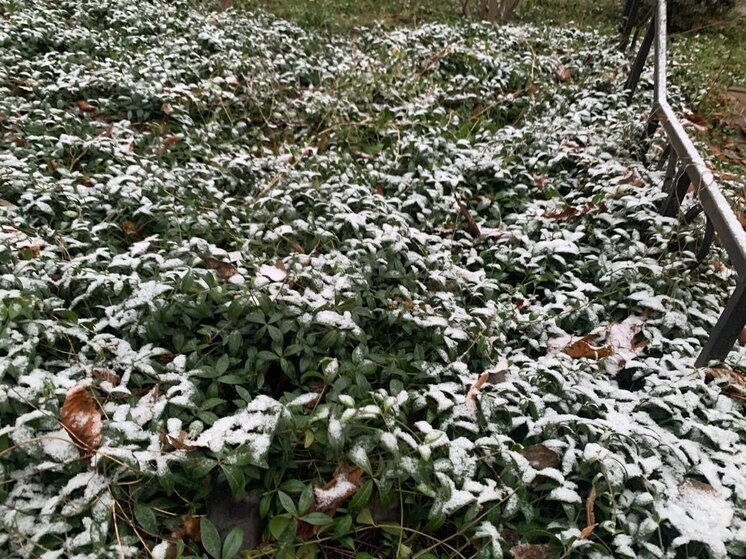 Снежную кашу спрогнозировали воронежские синоптики 10 декабря