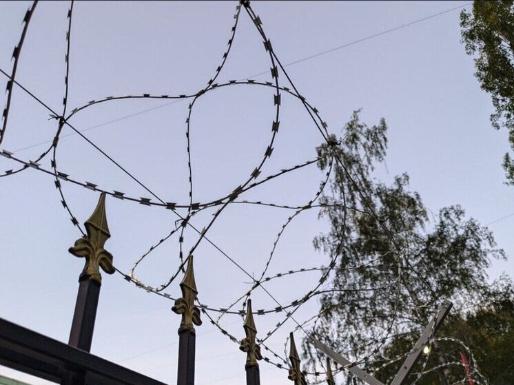 Двор на Грамши в Воронеже превратился в «режимный объект»