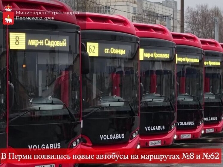 Тринадцать новых автобусов вышло на два пермских маршрута