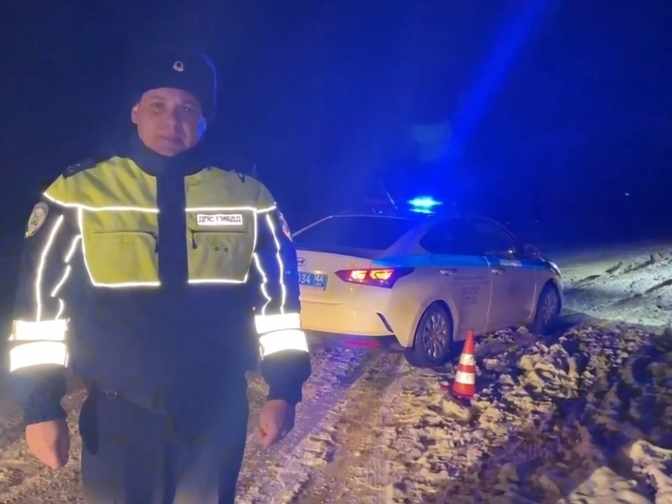 На сумеречной автодороге в Нерехтском районе сбит пешеход