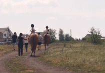 Документальная лента «Родина/Мать», повествующая о судьбе женщины-кинолога из ДНР, одержала победу в рамках национальной премии «Патриот»