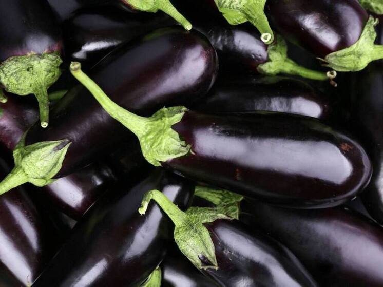 Дагестан значительно нарастил урожай овощей