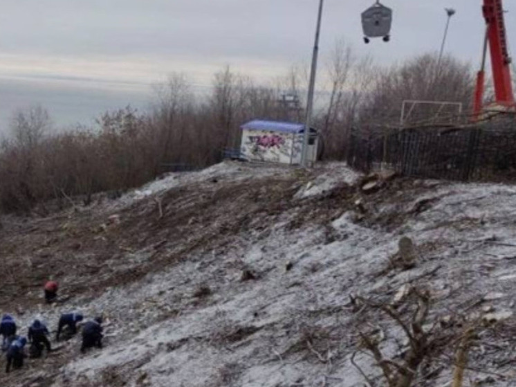 В Ульяновске усилят работу по очистке склона в парке «Дружбы народов»