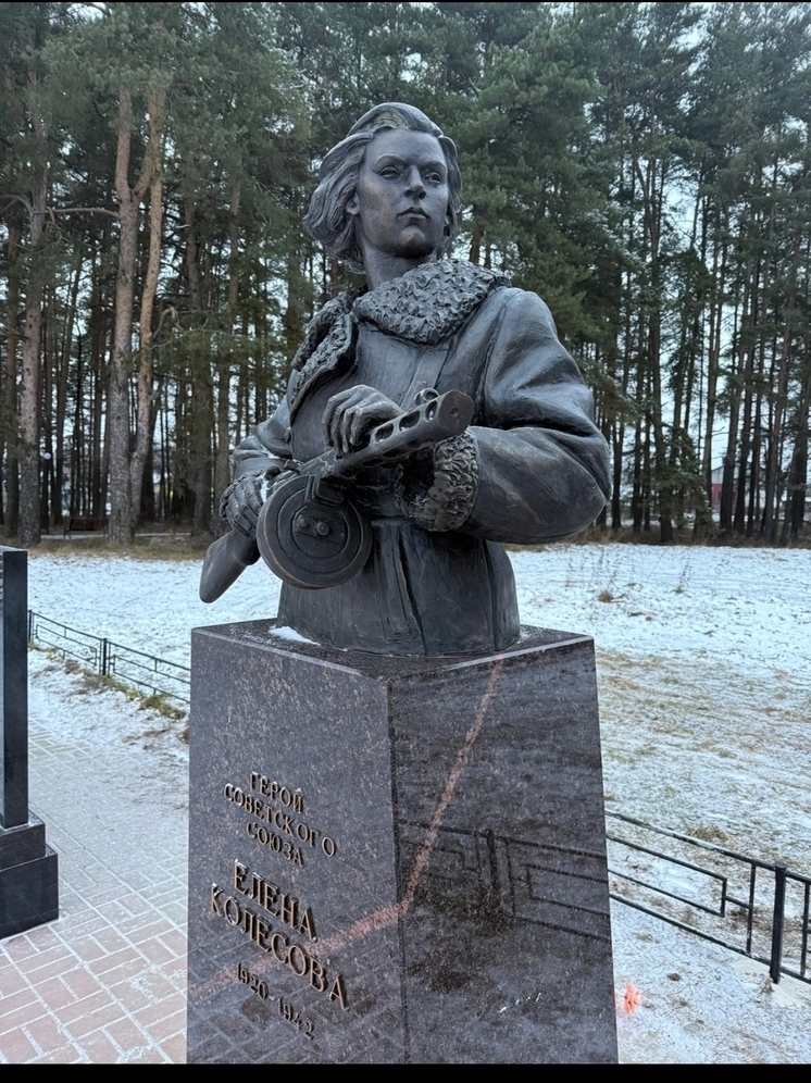 В Ярославском районе открыли памятник Елене Колесовой