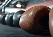 Одиннадцать воспитанников спортивной школы олимпийского резерва «Труд» под руководством наставника Анатолия Широкого в течение двух недель занимались при поддержке тренеров Федерации бокса Челябинской области