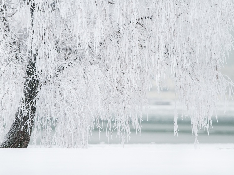 В Петербурге заговорили об установке памятной стелы НАО на территории мемориального военно-исторического комплекса «Невский пятачок», работа над которой сейчас ведётся Ненецким автономным округом совместно с Ленинградской областью