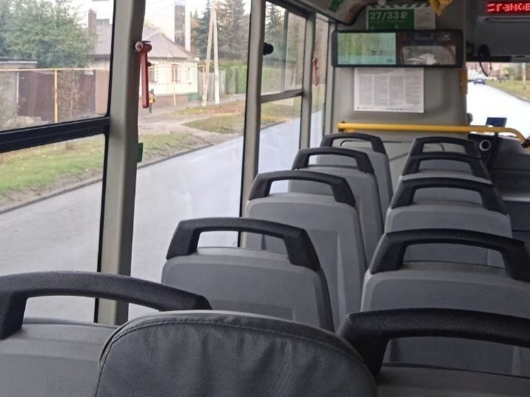 В курском транспорте пропало 189 аварийных молотков за 11 месяцев