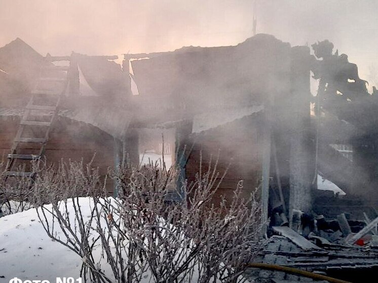 30 ульев и 50 кур сгорели на пожарах в сёлах Томской области