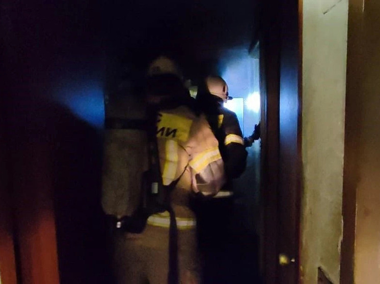 Пожилой мужчина погиб из-за отравления дымом при пожаре в Рубцовске