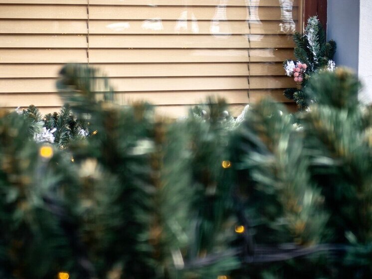 Типично приморский декабрь принесет снег и ветер
Близятся новгодние каникулы, а вместе с тем, погода стремительно меняется, готовя приморцев к новым ударам стихии