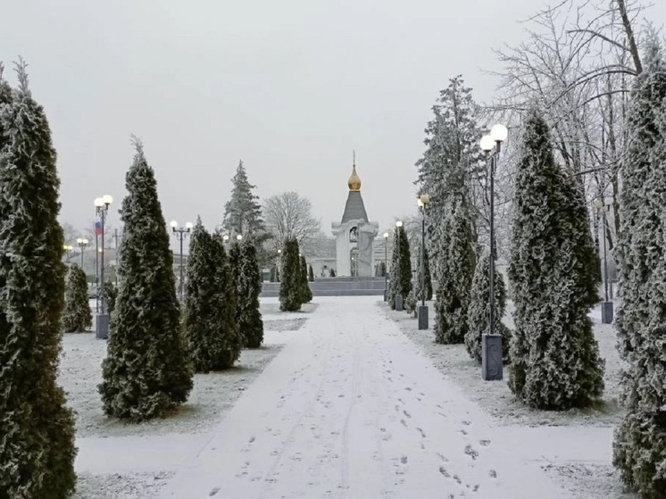 Северные районы Волгоградской области накрыло снегом