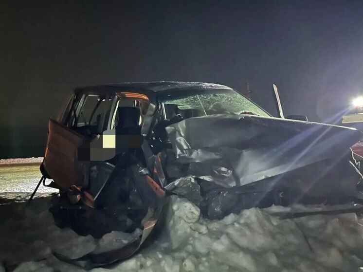 Пошел на обгон: водитель легковушки погиб в жестком ДТП на трассе Бийск — Белокуриха