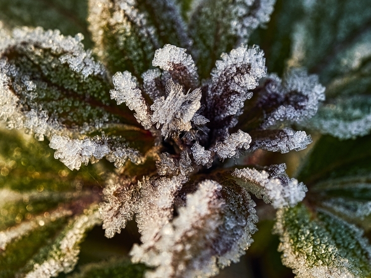 Сорокоградусные морозы придут в Томскую область 10 декабря