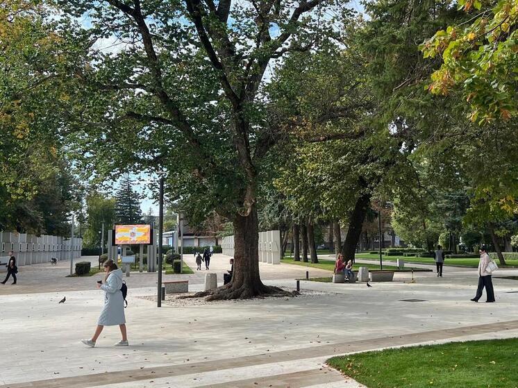 Ставропольский колледж связи оптимизирует выдачу справок при поддержке Минпрома Ставрополья