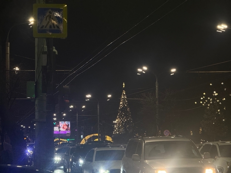 В Ростове-на-Дону на входе парка имени Горького закончили украшать главную елку