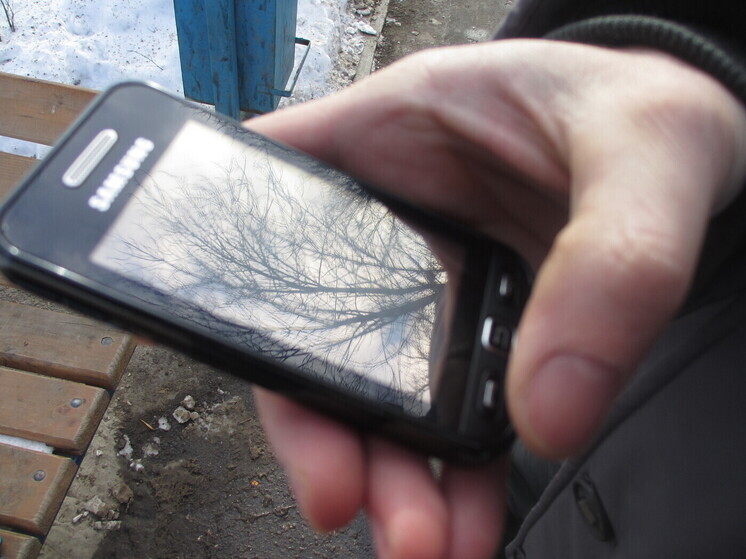 Саратовца внесли в обновлённый перечень террористов Росфинмониторинга