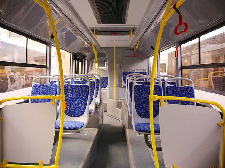 Возможную схему метробуса показали на карте Воронежа