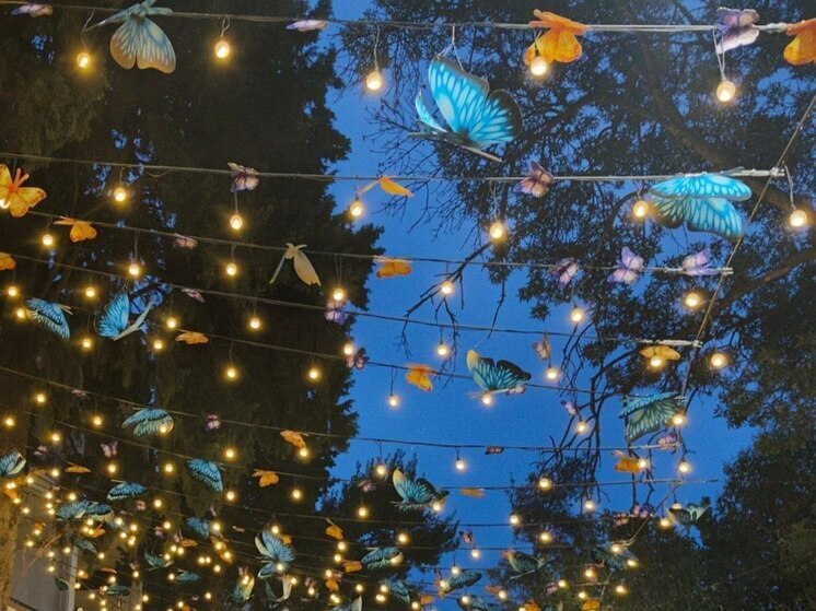 Вячеслав Гладков анонсировал появление цирка шапито в Белгороде