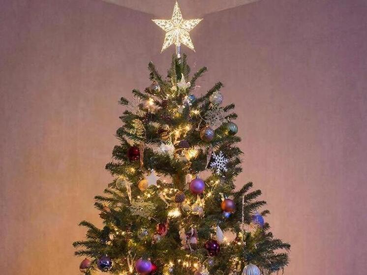 Штраф до 500 тысяч: сахалинцам напомнили об ответственности за незаконную вырубку ёлок