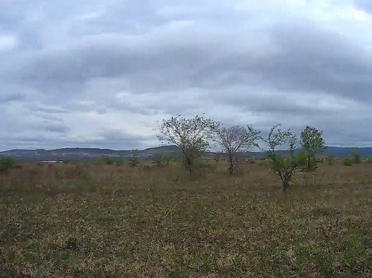 Площади заброшенных сельхозземель в Бурятии превышают 19 тысяч гектаров