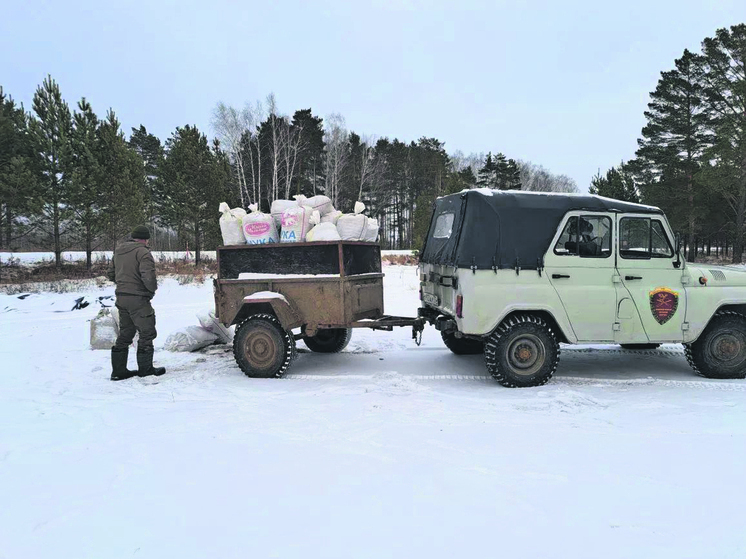 Как перезимовать зверям и пернатым?