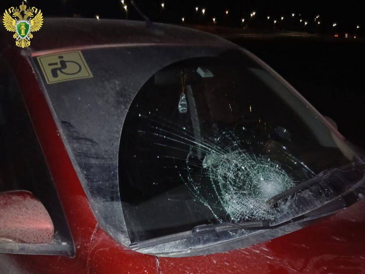 На дороге Йошкар-Ола – Уржум пострадал еще один пешеход