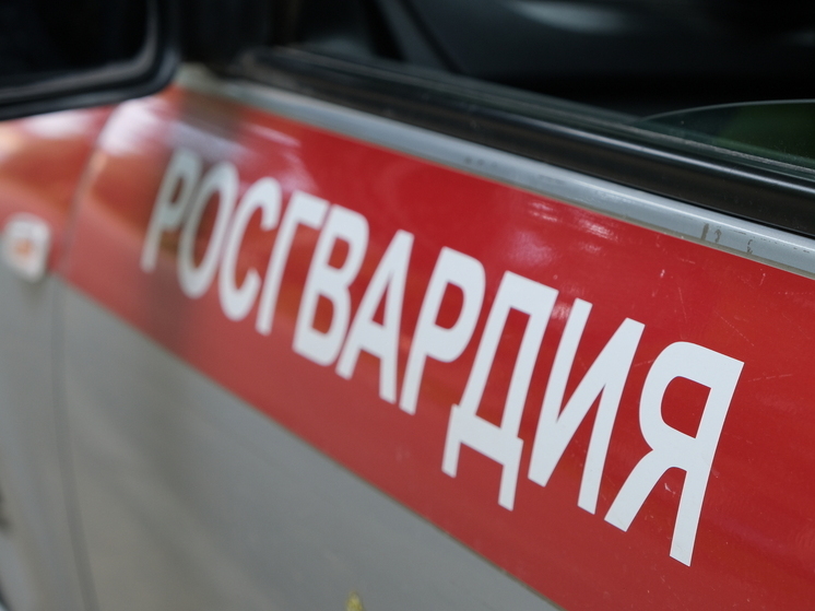 Смоленские росгвардейцы задержали серийную воровку