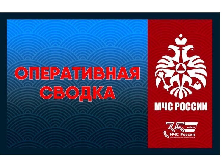 Смоленские пожарные за сутки ликвидировали четыре возгорания