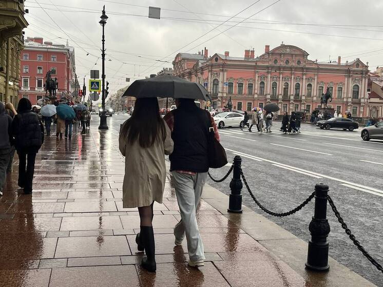 Петербуржцам всё ещё нужен зонт 10 декабря