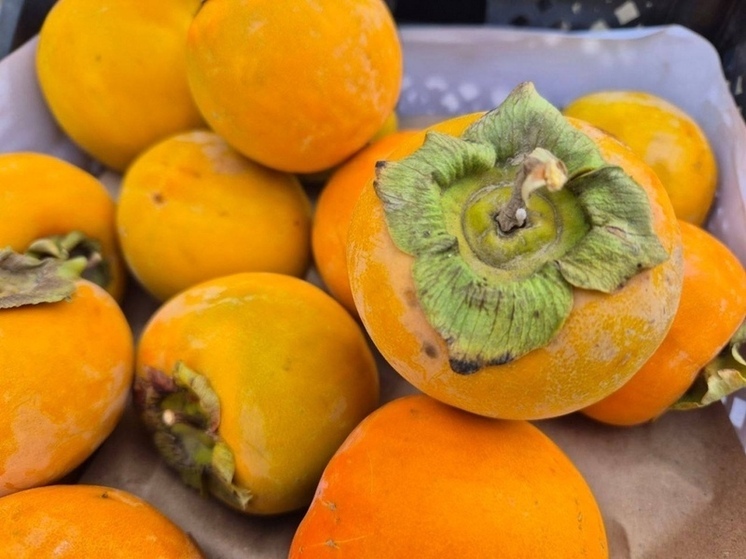 Червеца Комстока завезли в Оренбуржье с узбекской хурмой. Партию весом почти 40 тонн остановили на границе