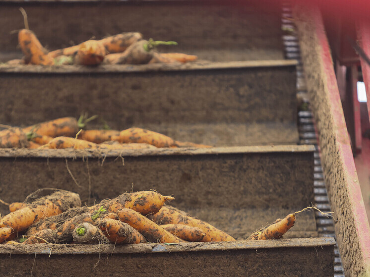 Прирост количества продуктовых магазинов в России существенно сократился